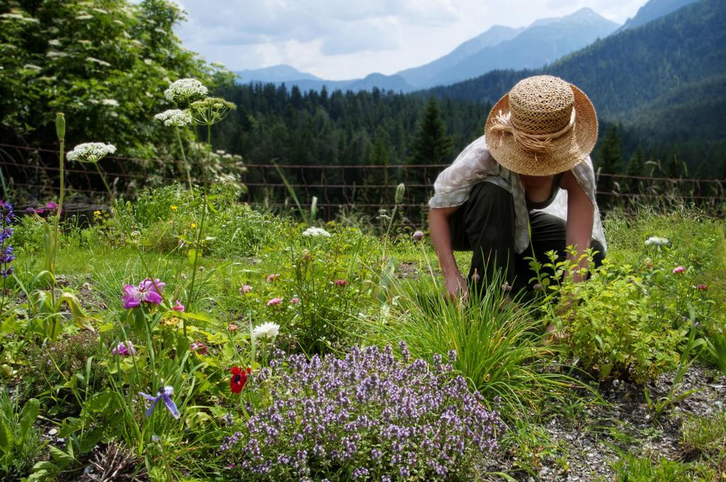 Yoga Resort Alpenretreat Nassereith Chambre photo